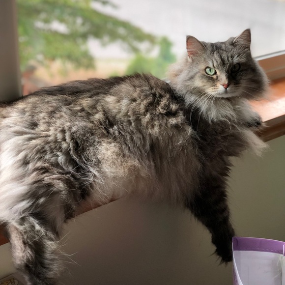 Meet your Posher, Paul - Picture 2 of 3